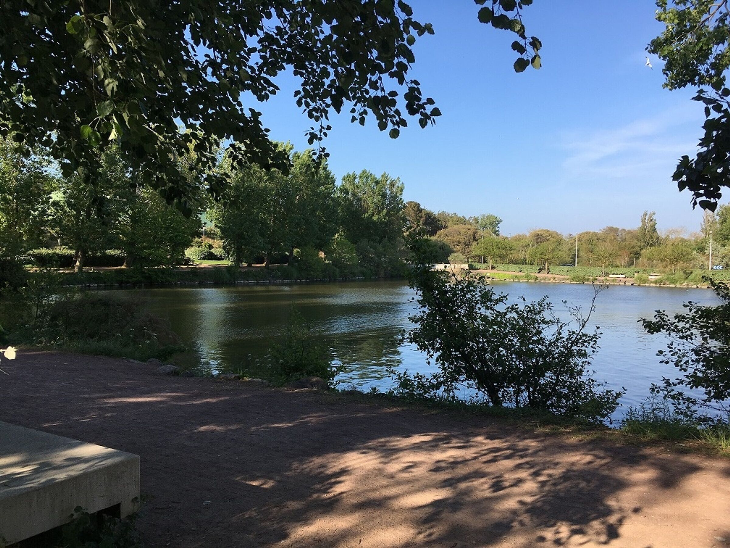 A riverside park with a concrete bench and a dirt path.