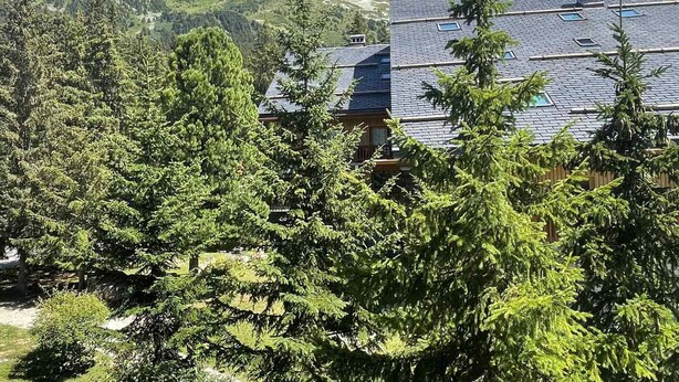 A house surrounded by dense evergreen trees, with a mountainous backdrop. - Cozy studio for 4 in Méribel Altiport, ski-in/ski-out (Méribel)