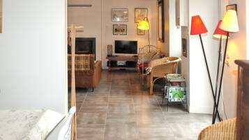 Télévision, cheminée, chaßne hi-fi