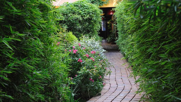 Un étroit sentier pavé de briques, bordé d’une végétation luxuriante et de fleurs roses, mène à l’entrée d’un bâtiment.