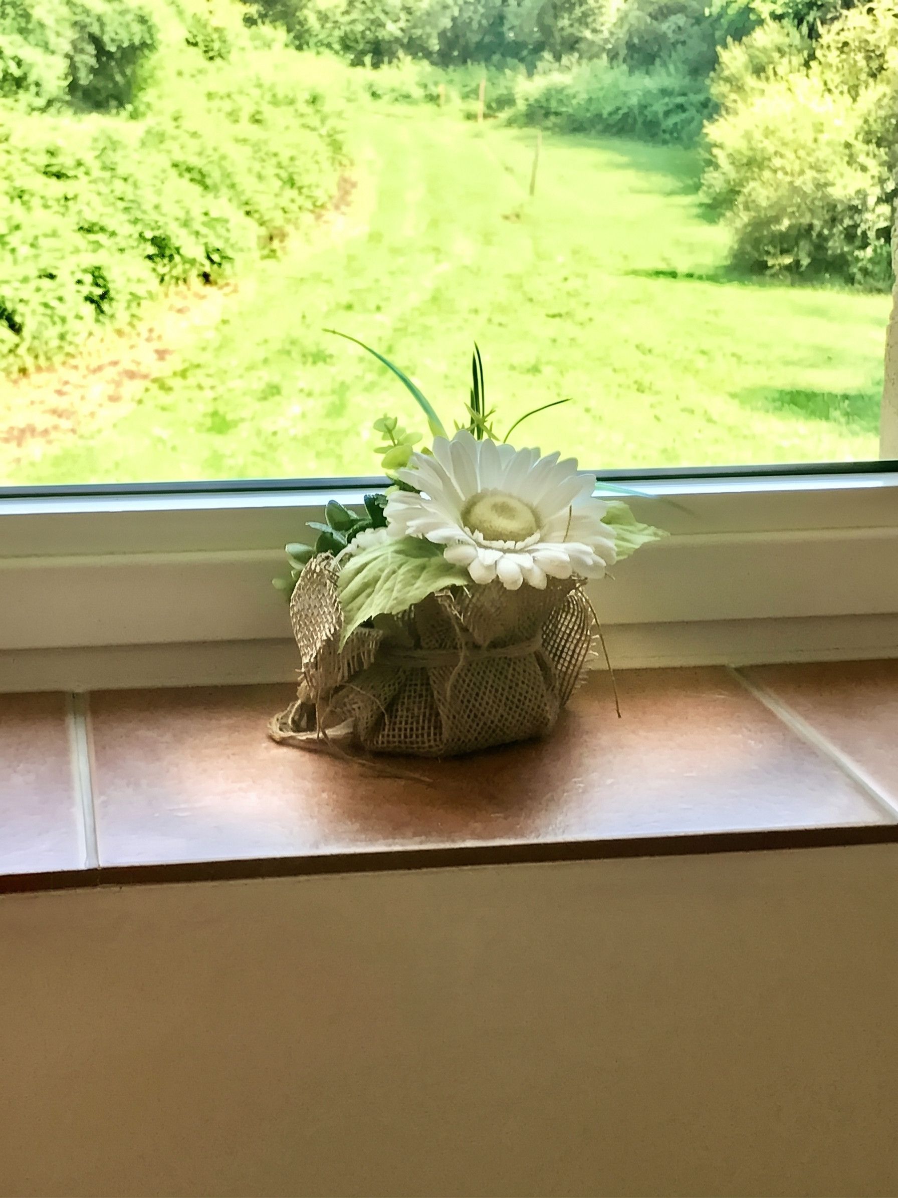 Ein Fensterbrett mit einer kleinen Pflanzengruppe.