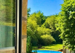Vista de una piscina rodeada de exuberante vegetación y árboles.