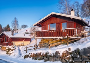 Exteriör