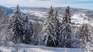 Eine verschneite Landschaft mit immergrünen Bäumen und einem Tal im Hintergrund.