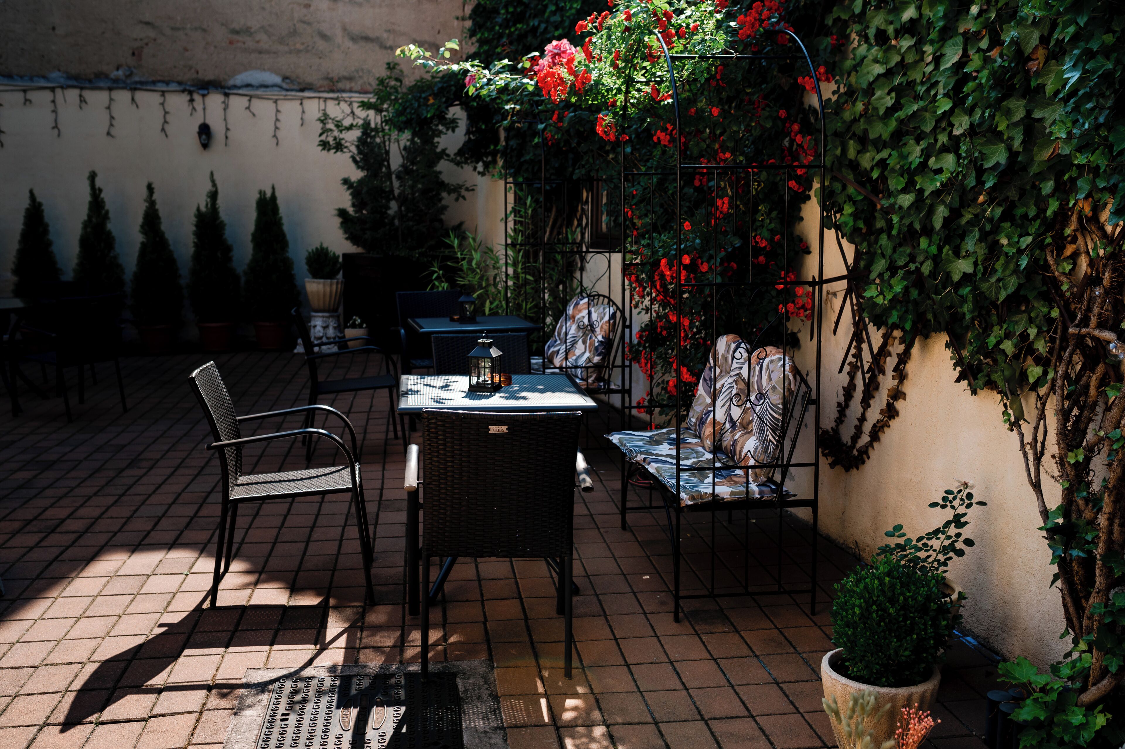 An outdoor patio with a table and chairs, surrounded by potted plants and a wall covered in ivy.