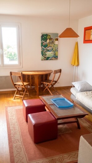 TV, fireplace, DVD player