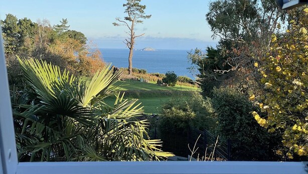 Blick aufs Meer vom Fenster aus, mit Blick auf eine Wiese, einen Baum und einen klaren Himmel.
