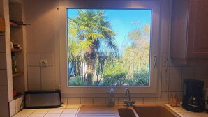 Eine Küche mit großem Fenster und Blick auf eine tropische Landschaft, inklusive Spüle, Kaffeemaschine und Geschirrspüler.