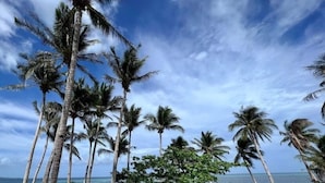 Een strand met palmbomen en een heldere lucht.