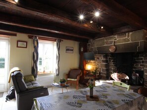 Televisión y chimenea 