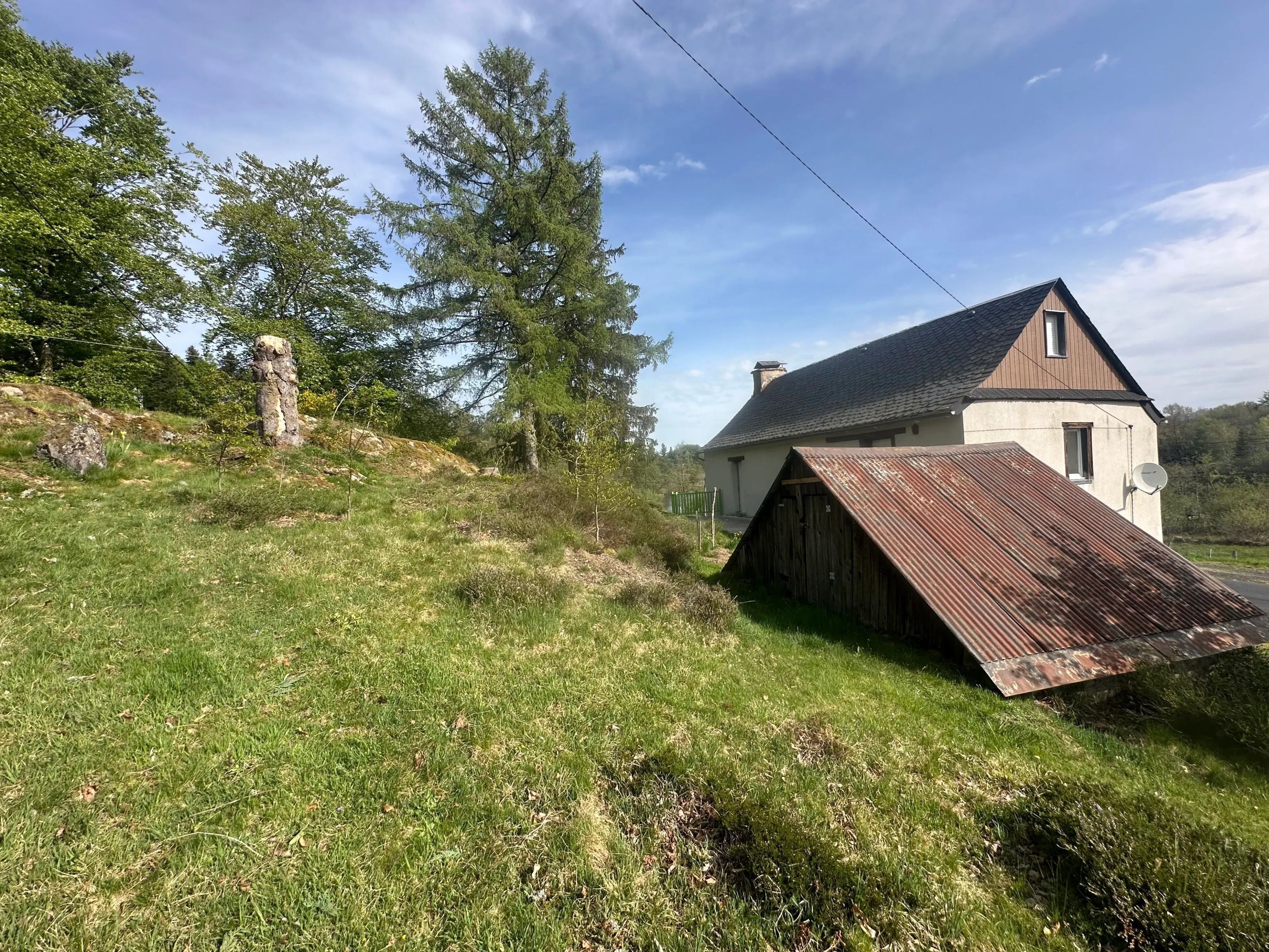 Eksteriør