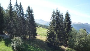 A mountainous landscape with dense coniferous trees and a grassy field.