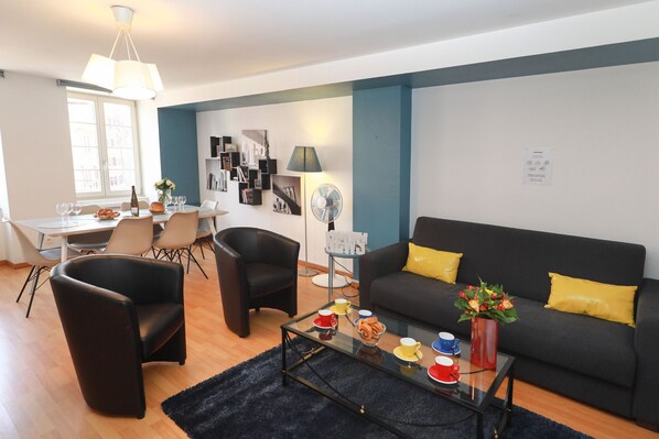 TV, DVD player - hartmann 80m2 city center    2br (Colmar)
