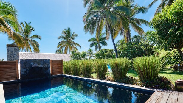 A swimming pool with a wooden deck, surrounded by lush greenery and palm trees.
