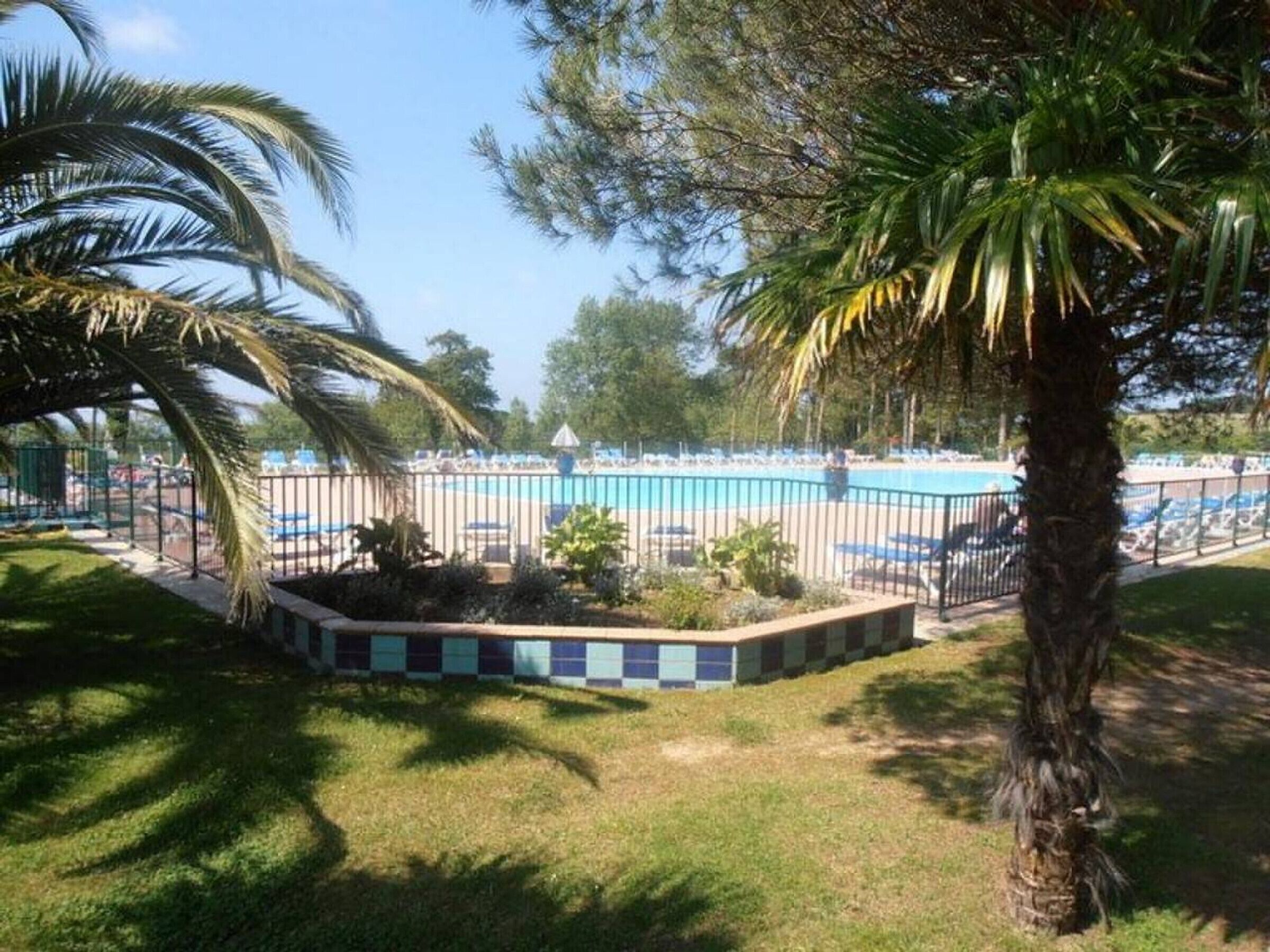 A pool area with a fenced deck, surrounded by palm trees and a grassy area.