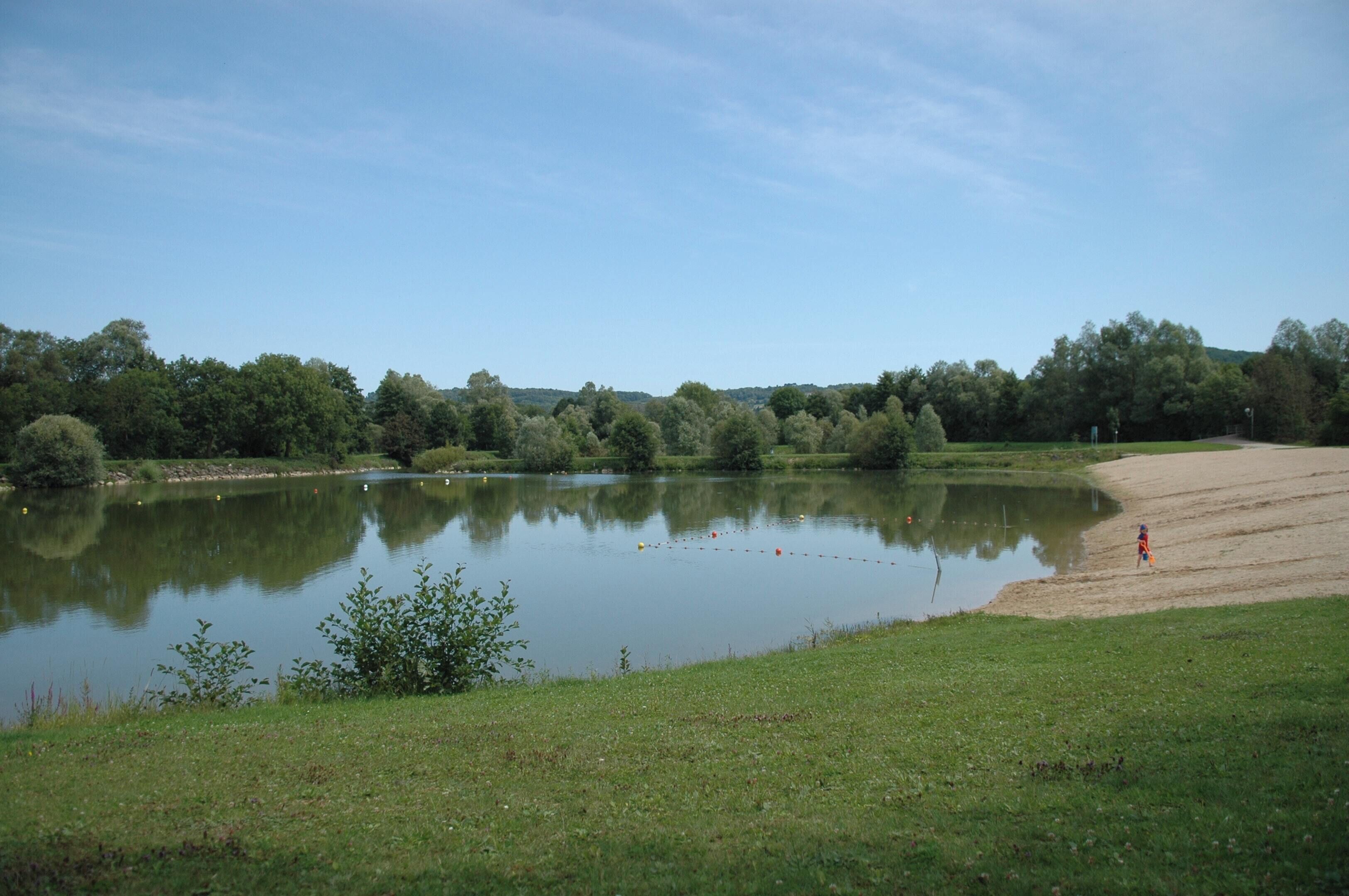 A serene lakeside view with a grassy area and trees in the background.