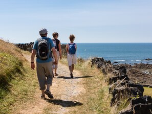 Unclassified image, 3 of 19, button