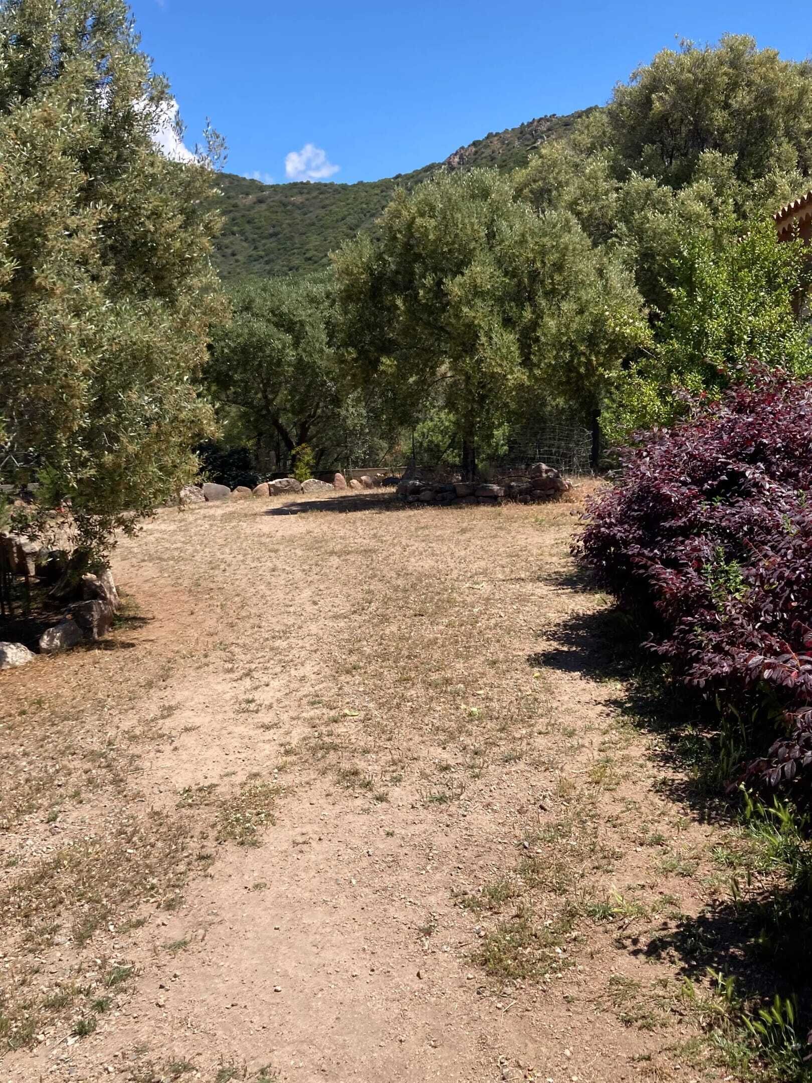 Terrain de l’hébergement 