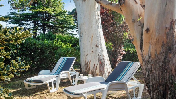 Two lounge chairs with striped cushions, a small table, and a cup, set in a garden with trees and shrubs. - Homerez - Comfort apt Arzon (Arzon)