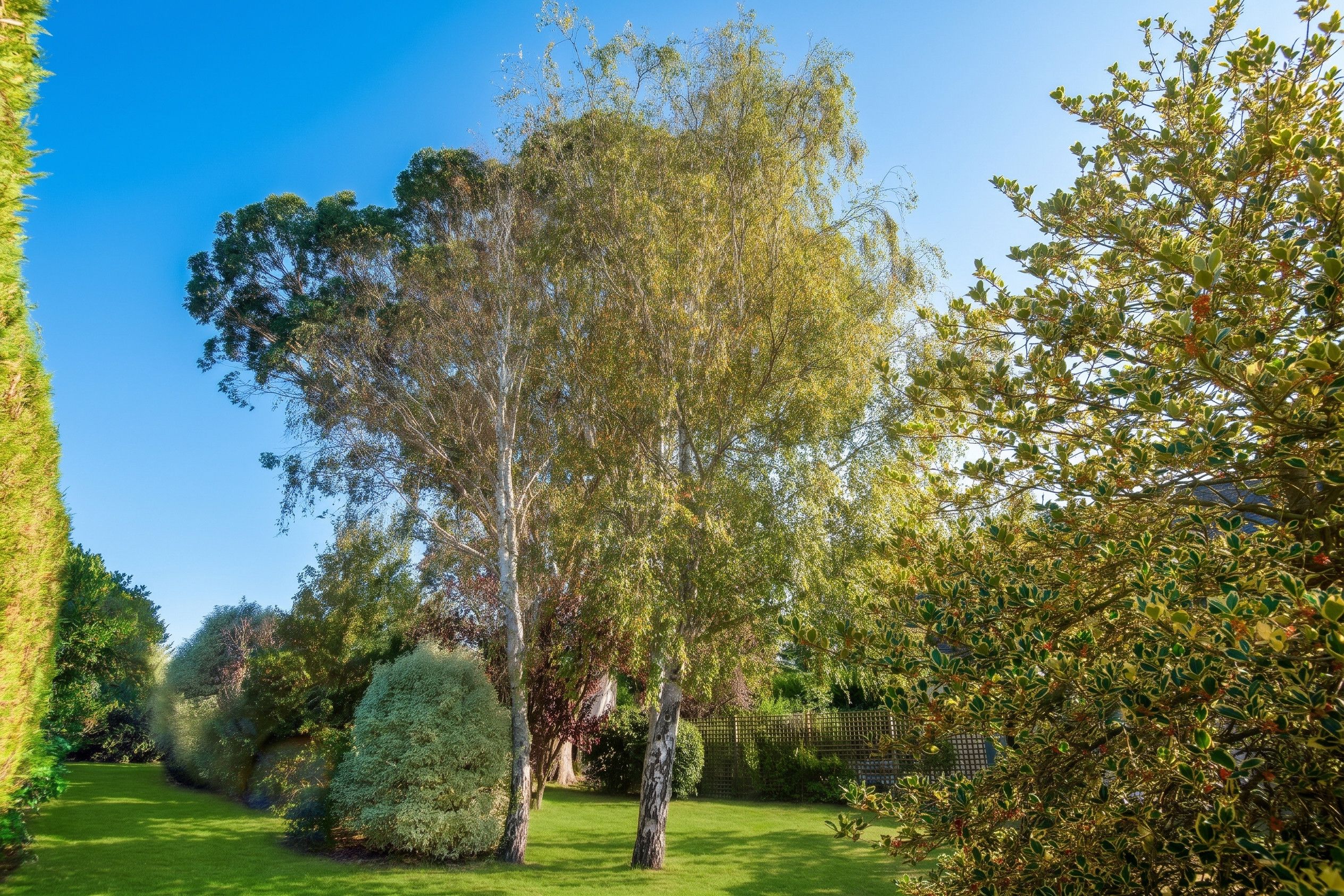 Jardín