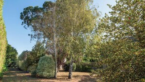 A garden with various trees and shrubs, a clear sky, and a pathway. - Homerez - Comfort apt Arzon (Arzon)