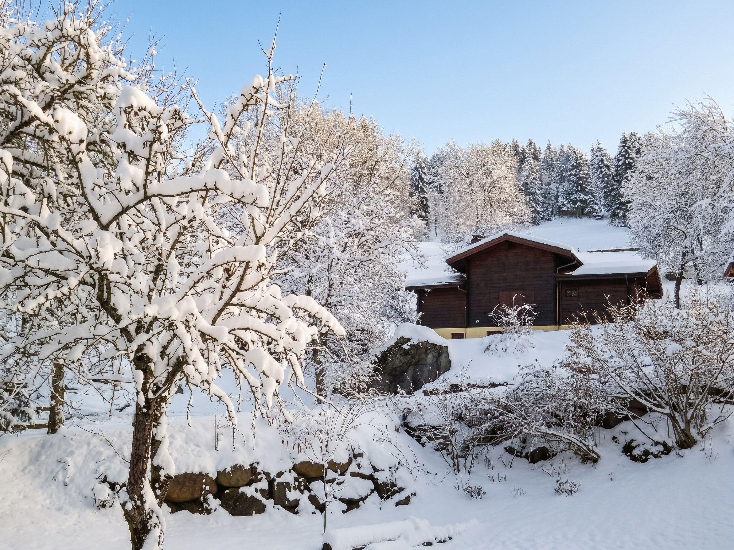 A wooden cabin surrounded by snow-covered trees and rocks.