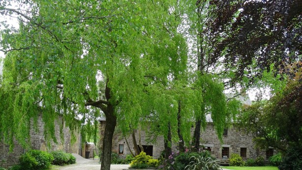 A stone building with a gravel path and lush greenery.