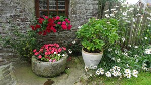 A stone building with a window, a flower bed with pink flowers, and a large potted plant with white flowers.