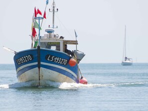 Un bateau immatriculé LS193270 naviguant sur des eaux calmes.