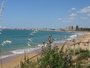 Een strand met een stadsachtergrond, een zandstrand en wat begroeiing op de voorgrond.