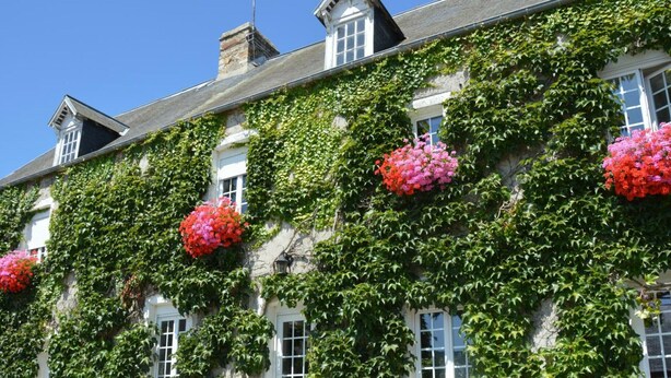 A building with white walls and multiple windows, covered in green ivy and adorned with pink and red flowers in hanging baskets. - Comfortable house in the heart of the Norman bocage with garden and pets allowed (Doville)