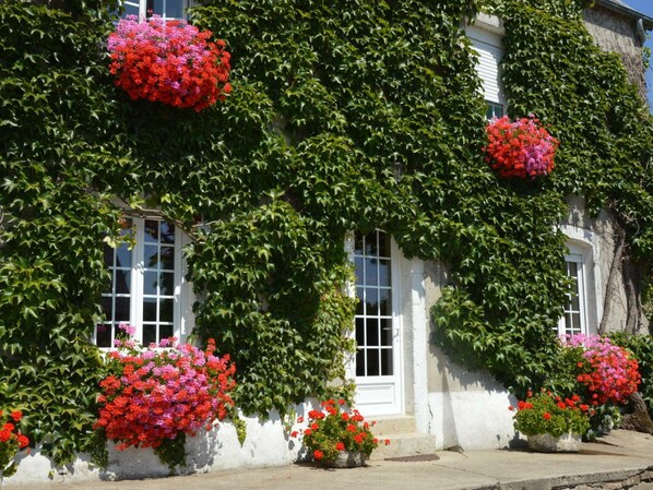 A building with white walls and multiple windows, covered in green ivy and red flowers.