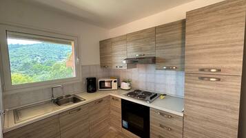 Fridge, microwave, oven, stovetop