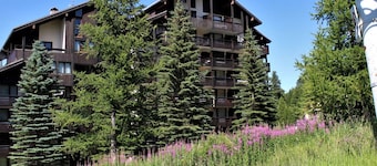Apartamento Risoul, 2 Quartos, 6 Pessoas