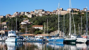 Una marina con barche ormeggiate, circondata da una cittadina collinare con edifici e alberi.