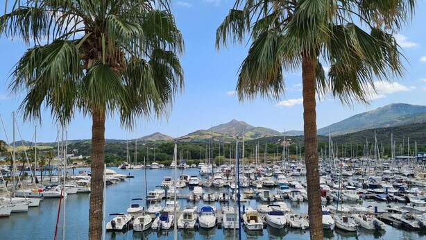 A marina with numerous boats docked, surrounded by palm trees and a mountainous backdrop.