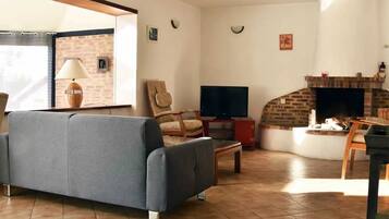 TV, fireplace