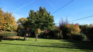 Ein gepflegter Rasen mit einem einzelnen Baum in der Mitte, umgeben von verschiedenen Sträuchern und Bäumen mit Herbstlaub.