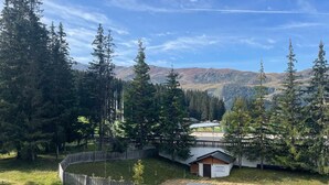 A fenced yard with a small cabin and a paved area, surrounded by dense forest and mountains in the background. - Studio for 4 in Méribel Altiport, ski-in/ski-out, pets allowed (Méribel)
