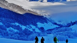 Snø- og skisport