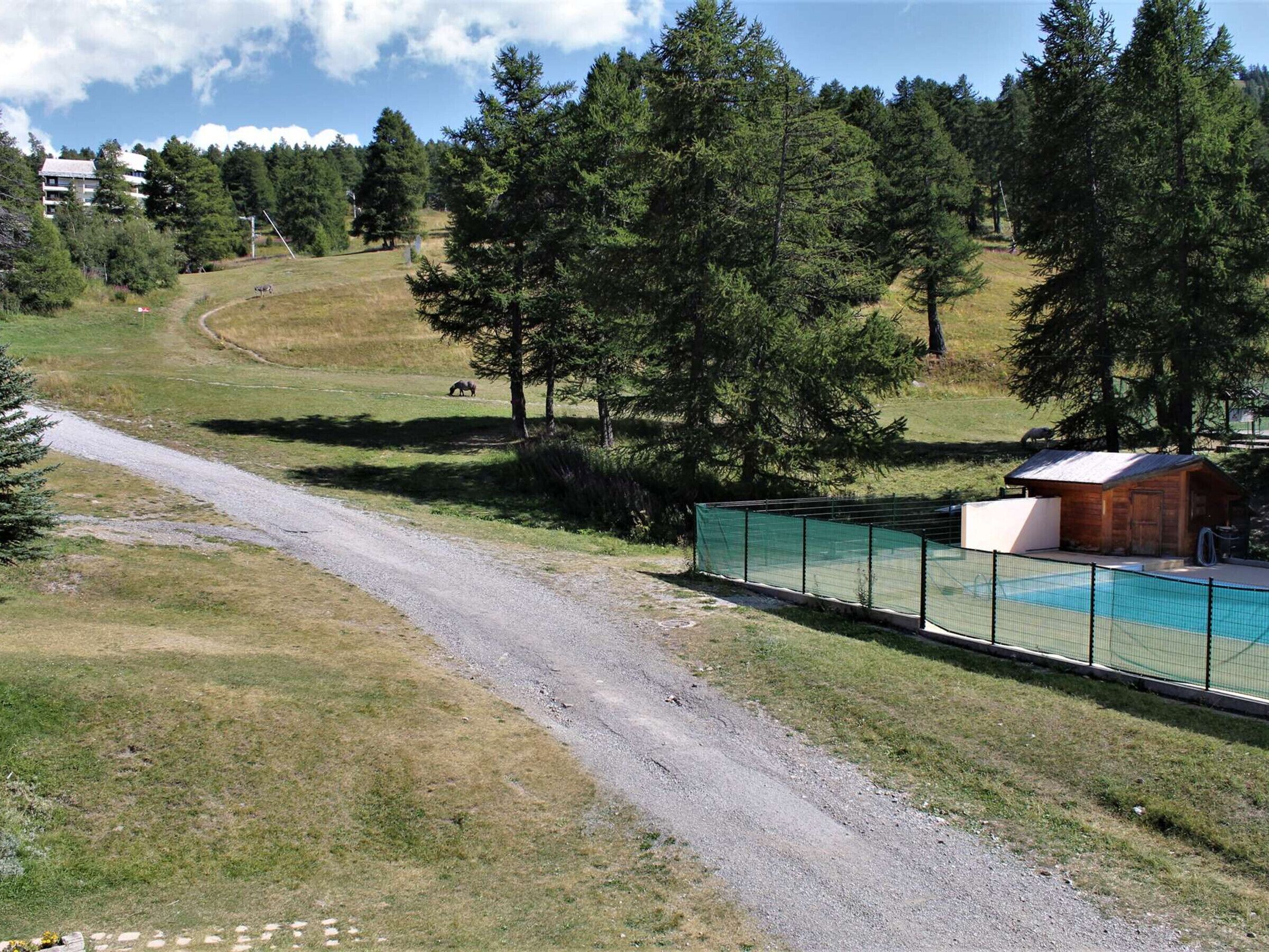 En grussti der fører hen til et poolområde med hegn, tæt på en træhytte.