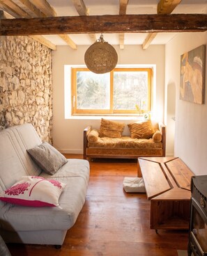 TV, fireplace, DVD player, stereo - Homerez - House in Puivert. (Puivert)