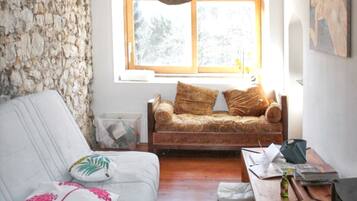 Fireplace, DVD player, stereo