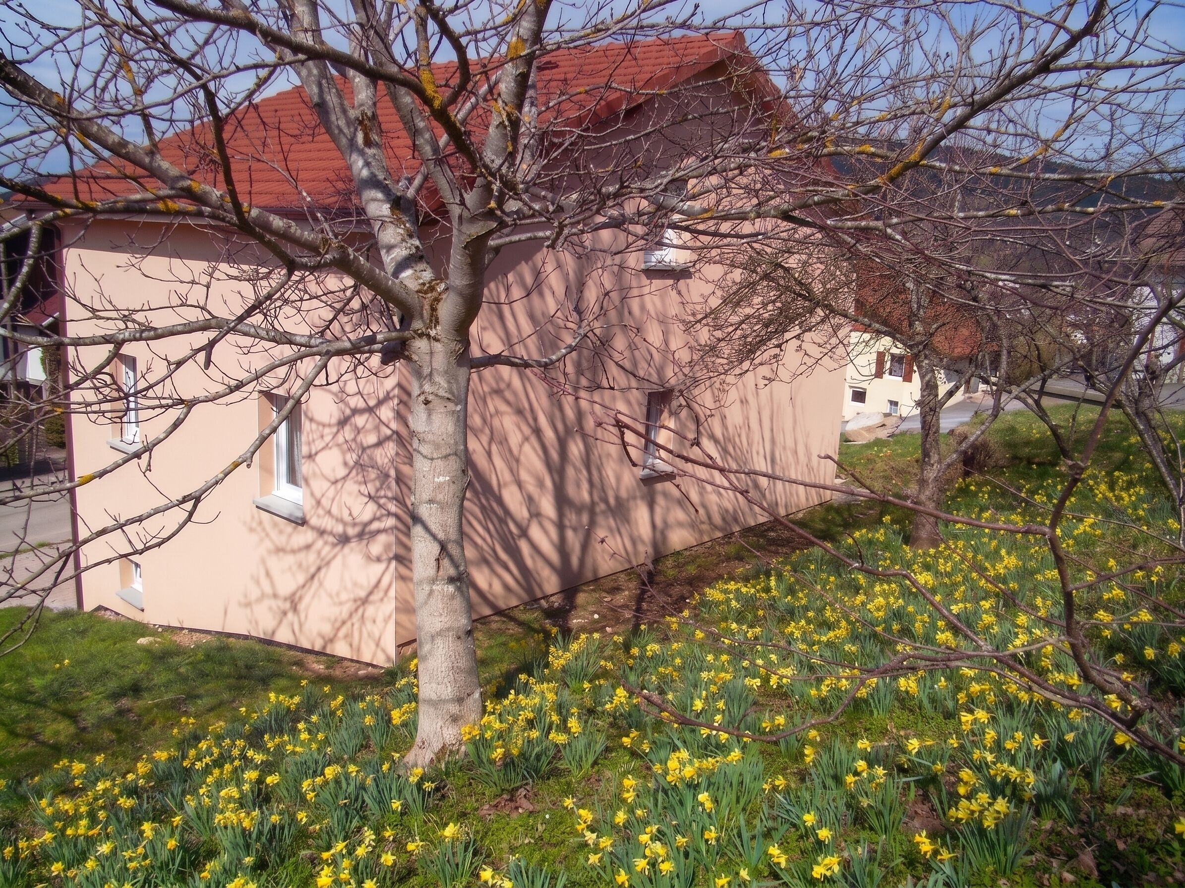 Un edificio con tetto rosso, un albero di fronte e fiori gialli in primo piano.