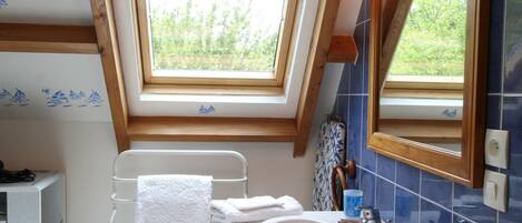 A bathroom with a skylight, a white sink, and a mirror.