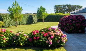 A well-maintained garden with hedges, flowering plants, and a lawn. - Homerez - House in Bangor (Bangor)