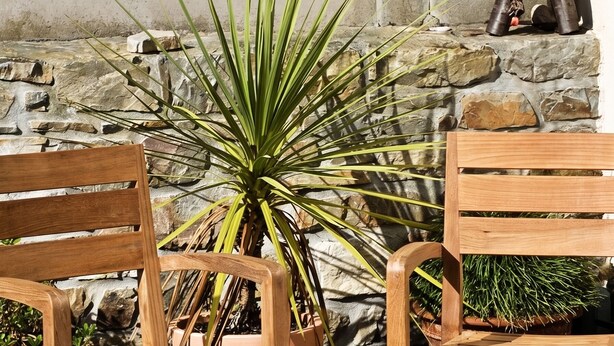 Un tavolo e una panca di legno appoggiati a un muro di pietra, con una pianta in vaso.