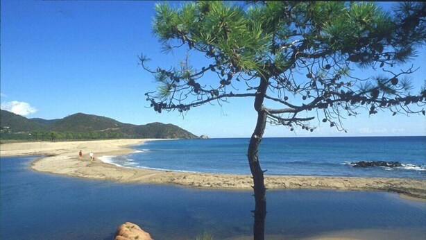 Ein Strand mit klarem, blauem Wasser, einer einzelnen Palme und Felsformationen.