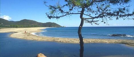Playa en los alrededores
