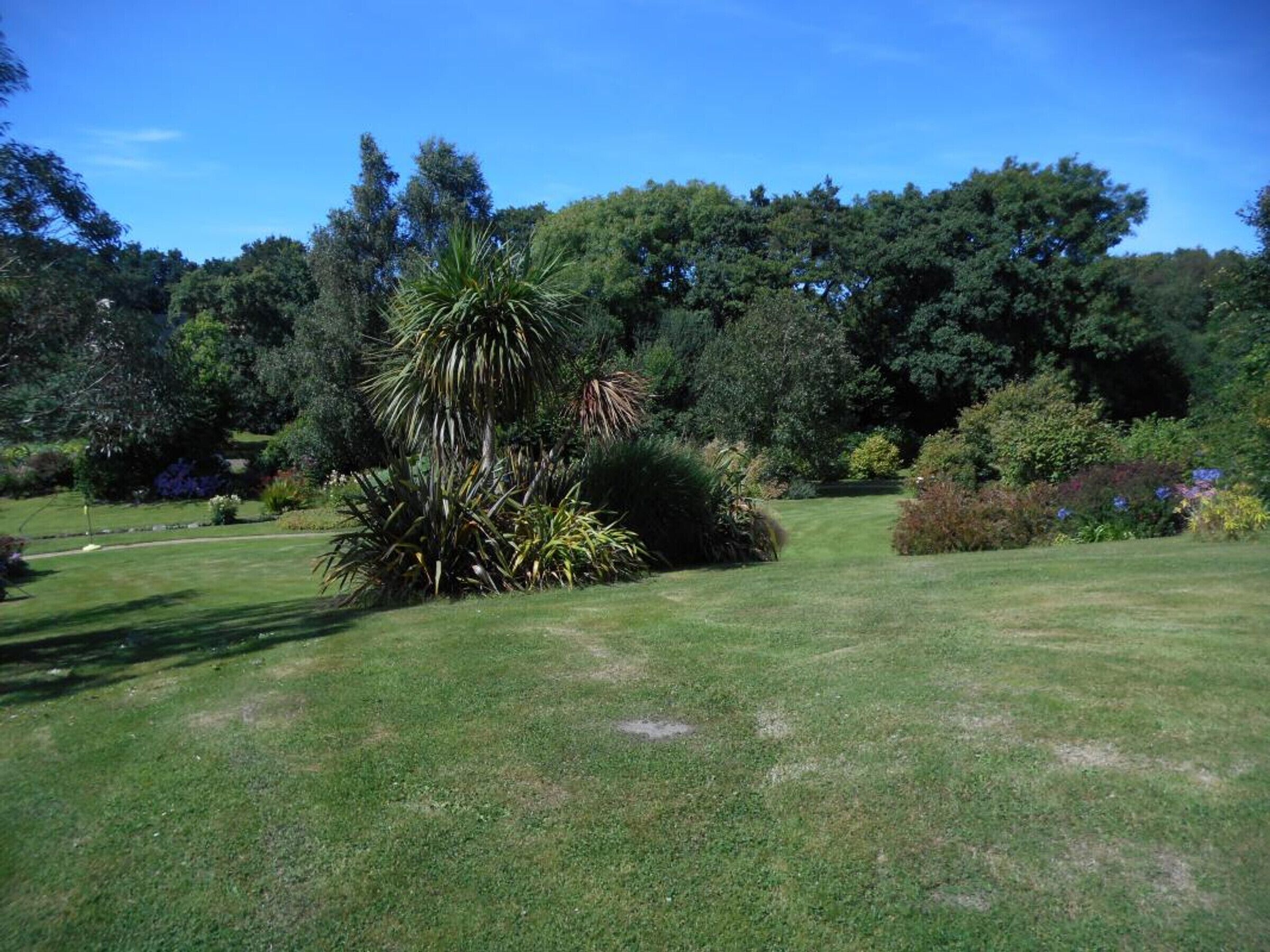 Un jardin bien entretenu, avec une grande variété de plantes et d’arbres, un ciel dégagé et une pelouse verdoyante.